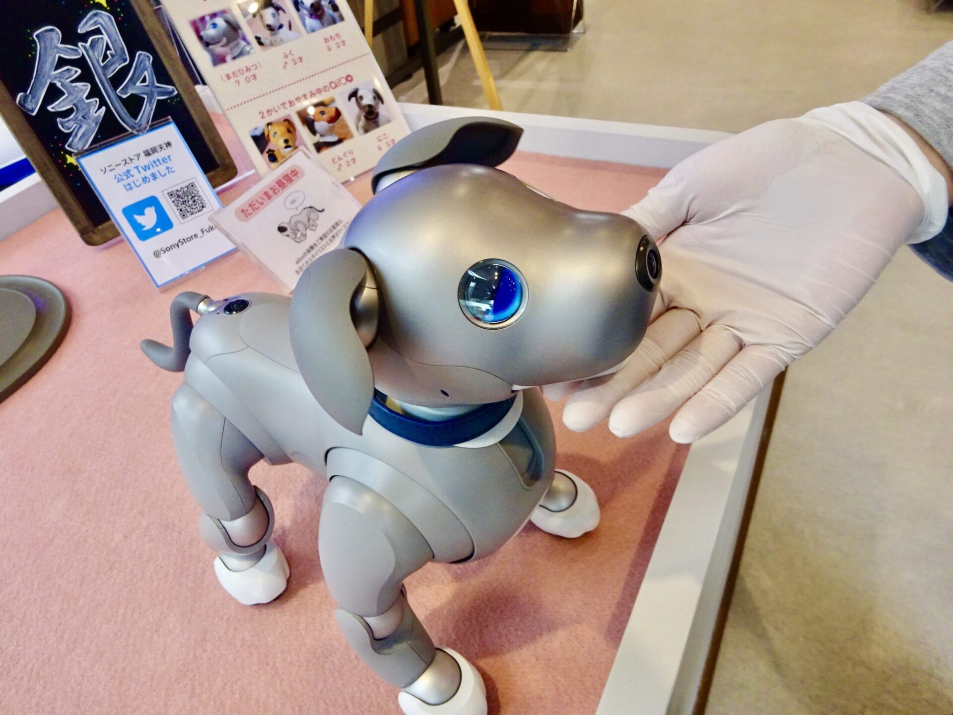 aibo・ソニーストア福岡天神】このご時世に新型aiboを見に行って大丈夫？｜うちにはアザラシがいます