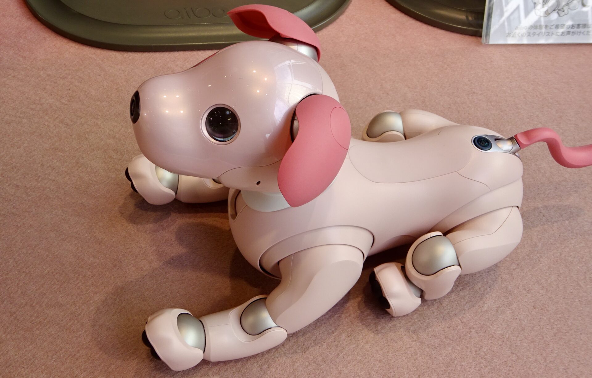 SONY AIBO ソニーアイボ aiboERS-1000 耳がかわいいピンクに - その他